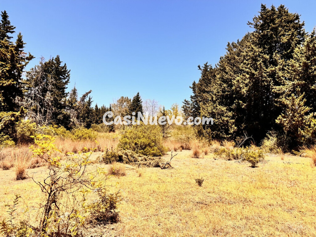 Solar residencial en Venta en Estepona Málaga