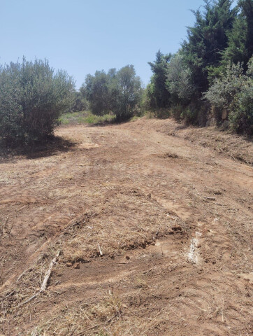 Solar residencial en Venta en Sotogrande Cádiz - foto 4