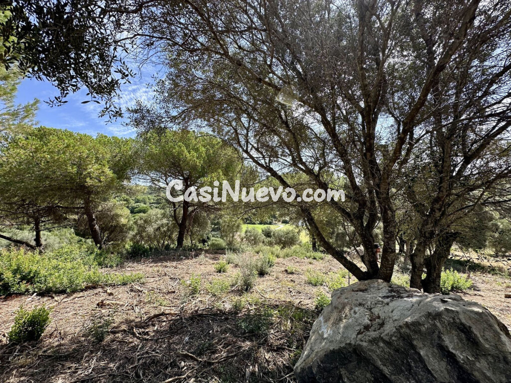 Suelo rústico en Venta en Sotogrande Cádiz
