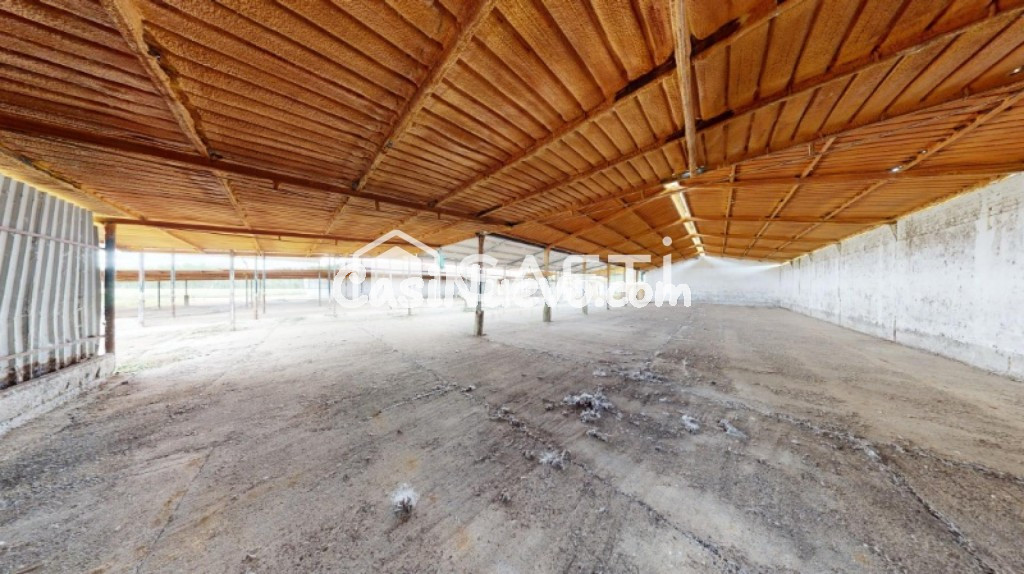 ***REBAJADO*** OPORTUNIDAD DE NAVES GANADERAS, LISTO PARA EMPEZAR LA ACTIVIDAD