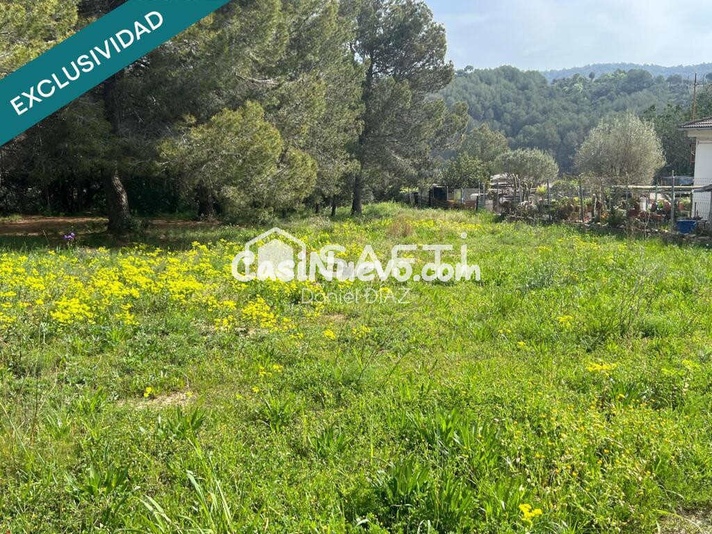 Solar en entorno natural.