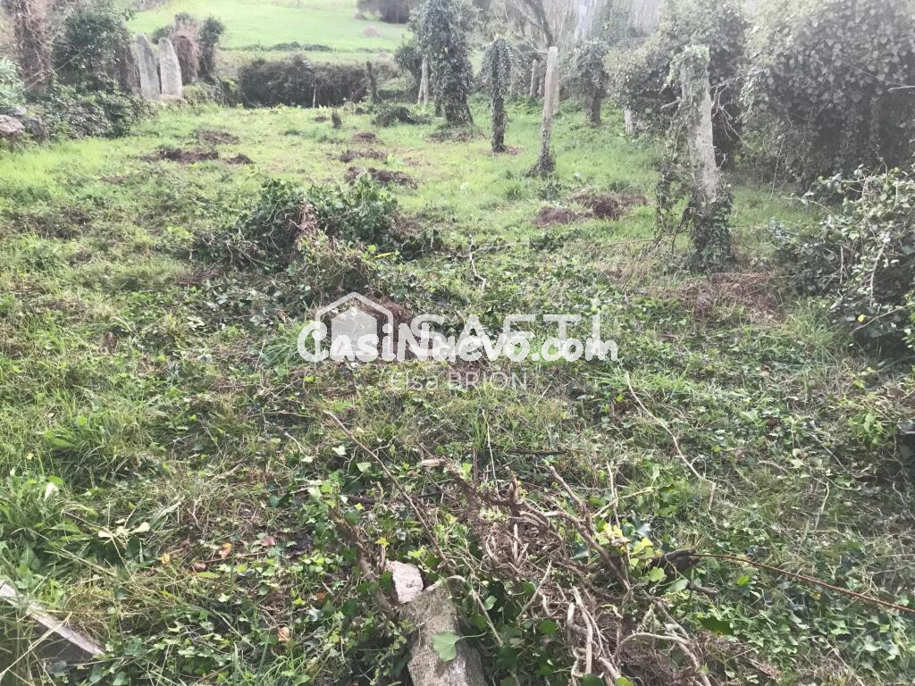 Terreno edificable en Puilla (Nebra)