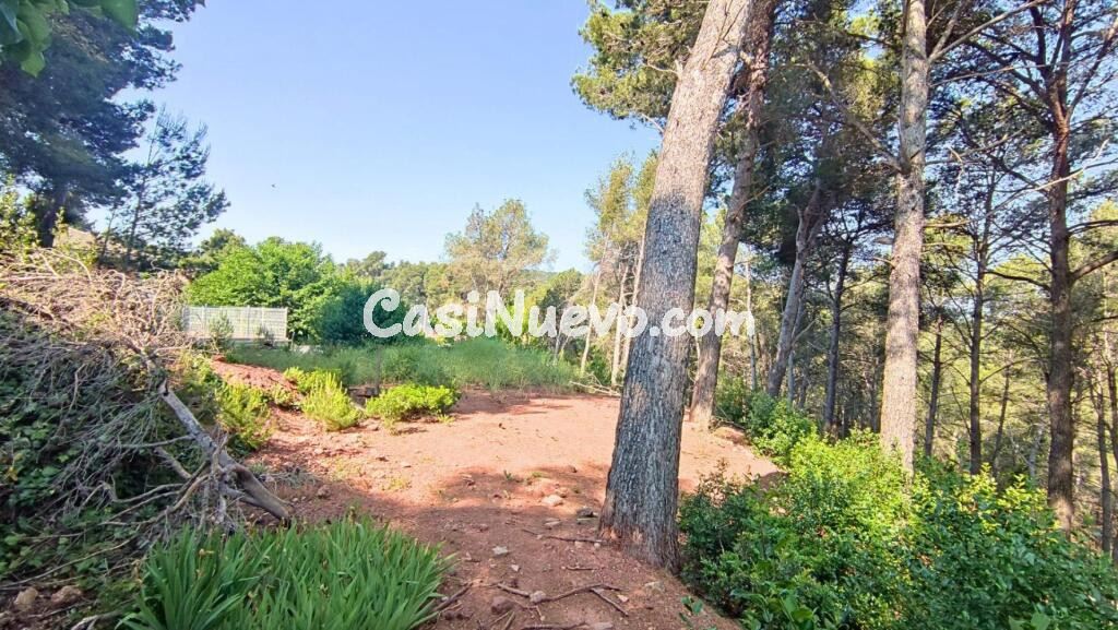 TERRENO DE 4156M2 EDIFICABLE EN CERVELLO.