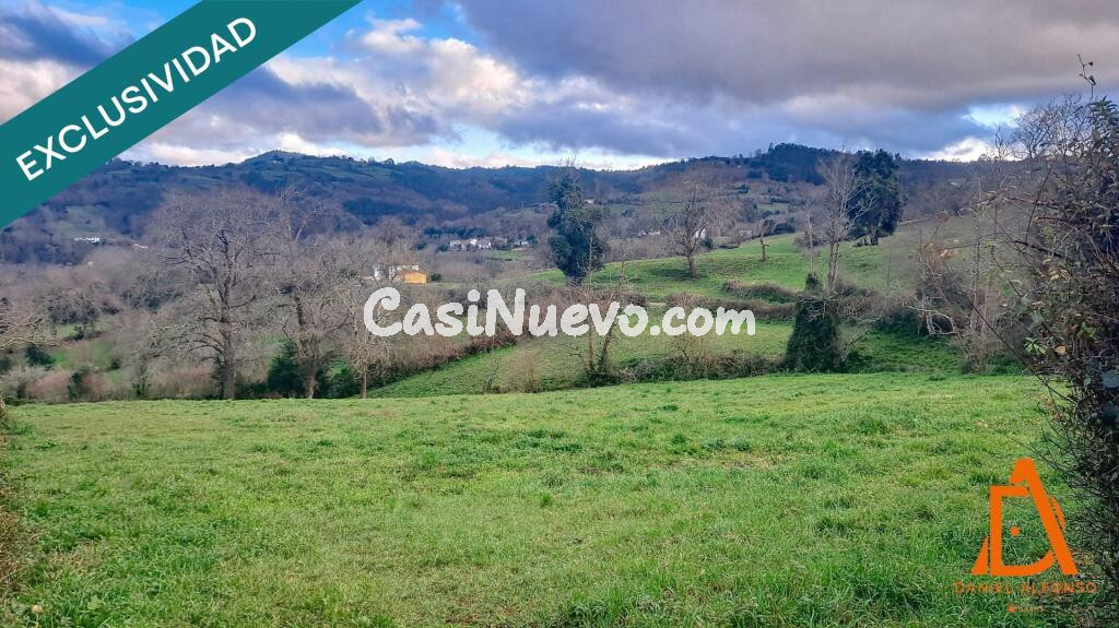 FINCA a solo 10 minutos de Villaviciosa