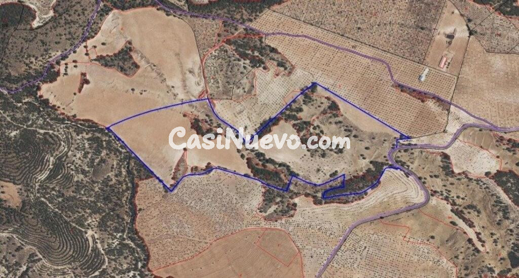 Terreno de 250.000m² edificable situado en Lorca.