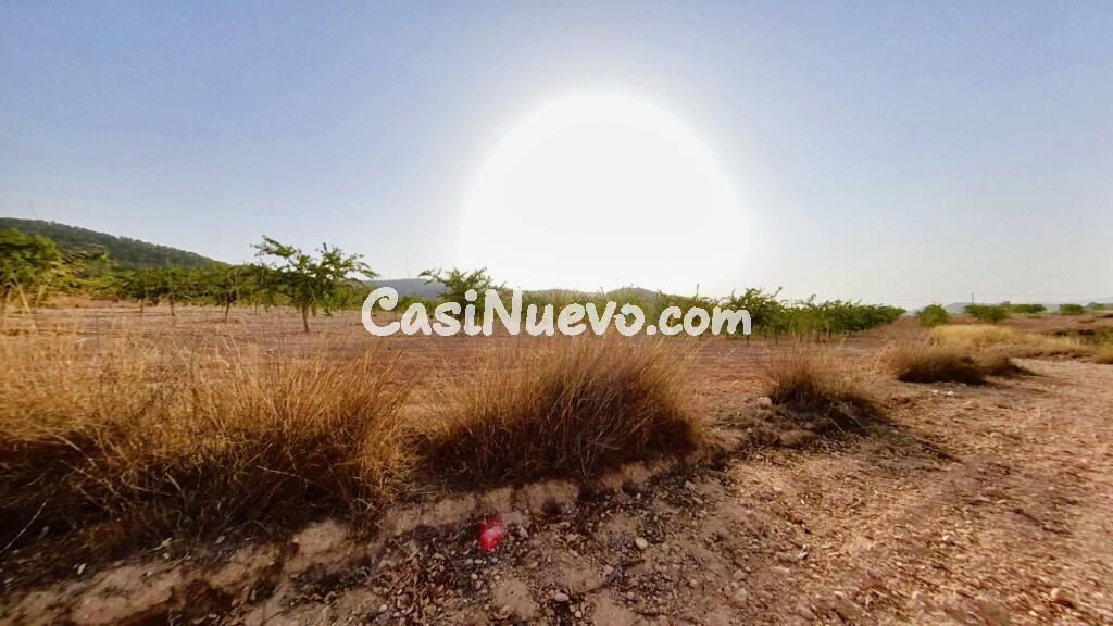 Tu refugio natural con alma y potencial único