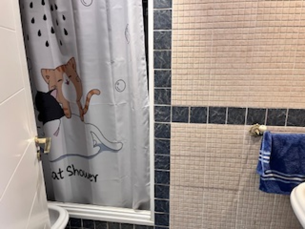 ESPECTACULAR PISO AMPLIO Y LUMINOSO CON TERRAZA, GARAJE Y TR - foto 8