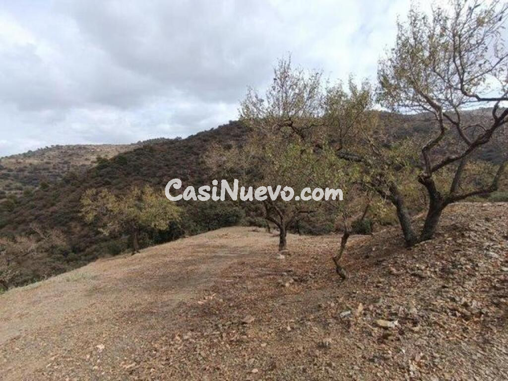 PARCELA CON 8777M2 EN CASABERMEJA, TODO UN PARAISO NATURAL