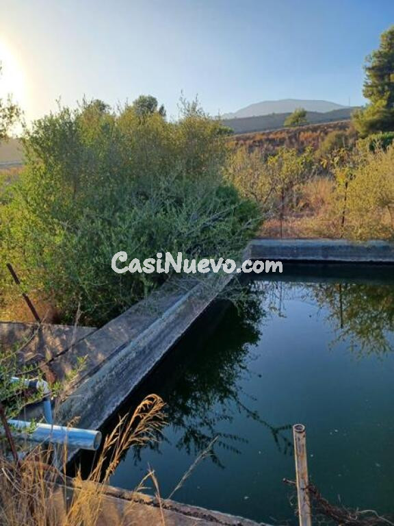 ESTUPENDA PARCELA AGRÍCOLA CON CASA MUY CERCA DEL PUEBLO DE ESTEPONA