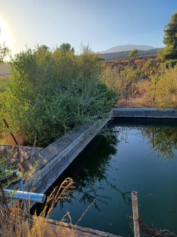 ESTUPENDA PARCELA AGRÍCOLA CON CASA MUY CERCA DEL PUEBLO DE  - foto 2