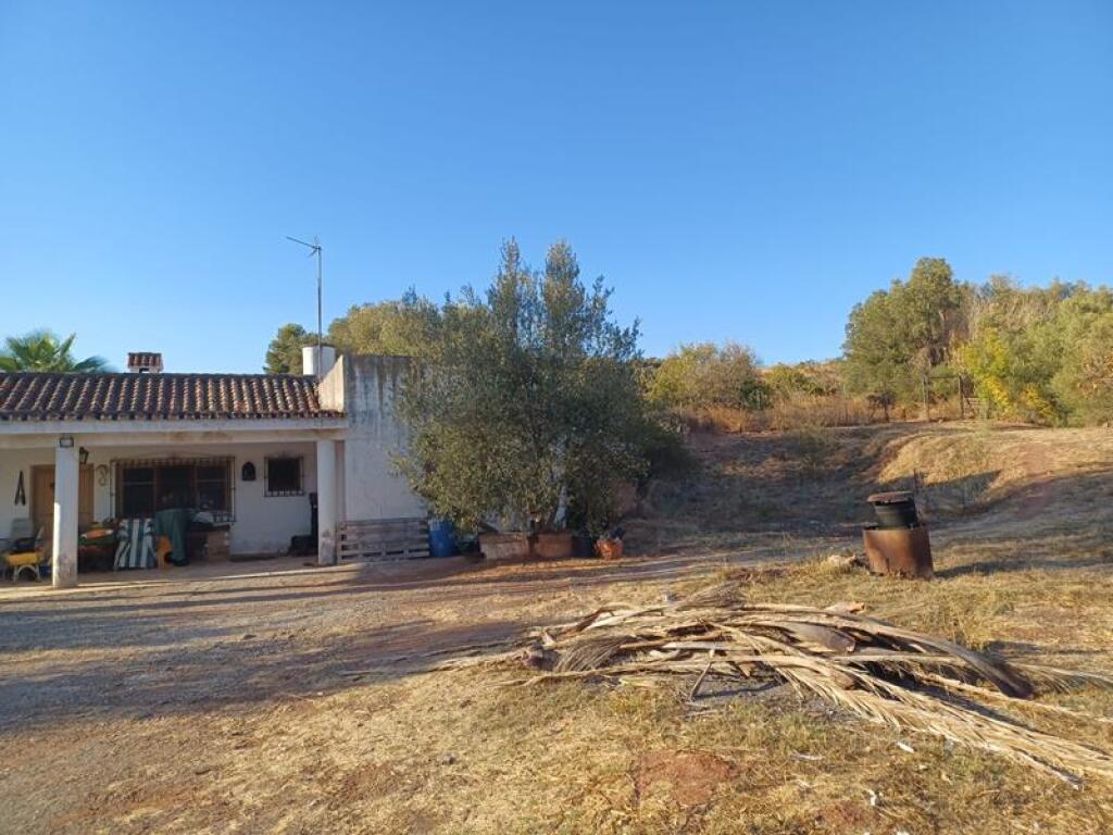 ESTUPENDA PARCELA AGRÍCOLA CON CASA MUY CERCA DEL PUEBLO DE  - foto 3