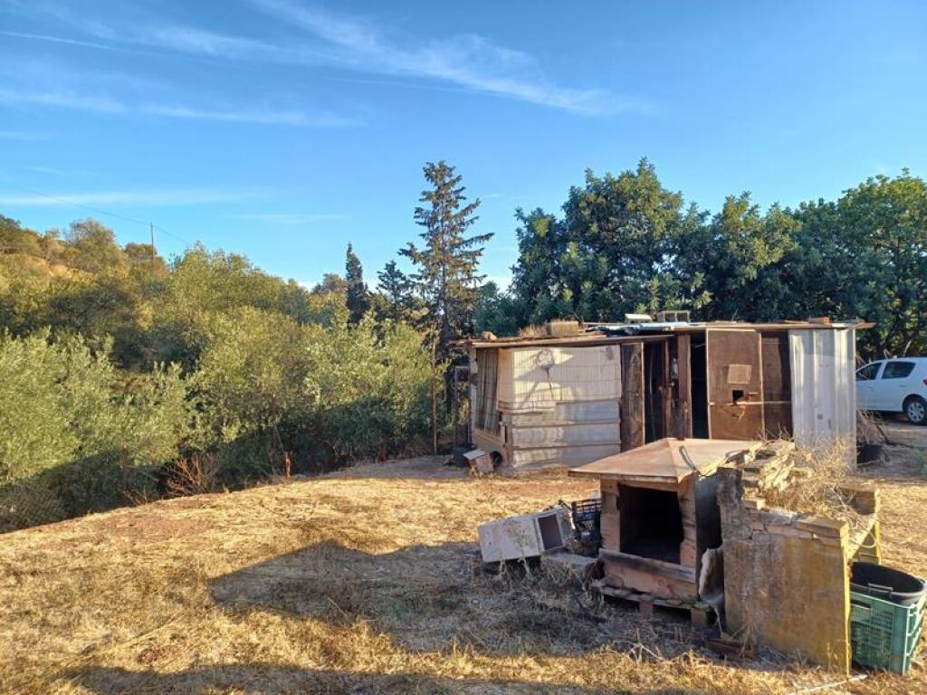 ESTUPENDA PARCELA AGRÍCOLA CON CASA MUY CERCA DEL PUEBLO DE  - foto 4