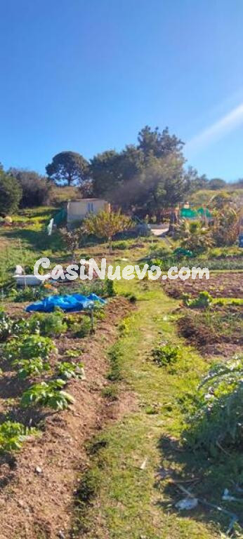 ¿ESTÁ BUSCANDO PARCELA EN LA COSTA DEL SOL? ¡TENEMOS LA SUYA!