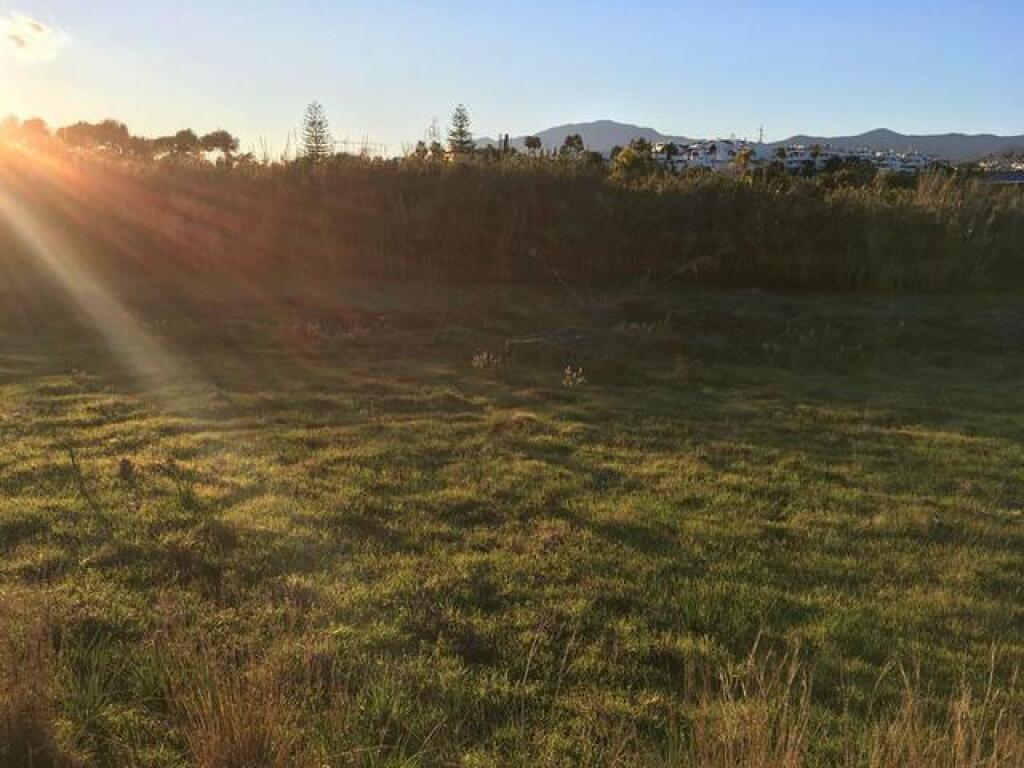 OPORTUNIDAD DE TENER SU PARCELA ENTRE ESTEPONA Y MARBELLA. - foto 3