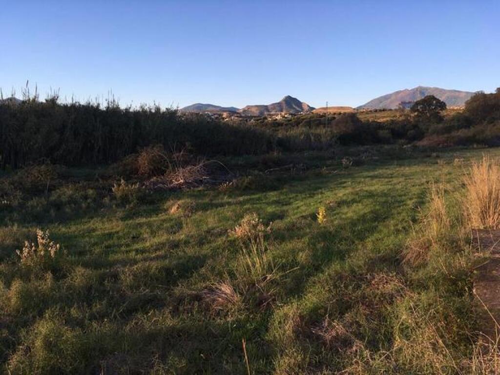 OPORTUNIDAD DE TENER SU PARCELA ENTRE ESTEPONA Y MARBELLA. - foto 5