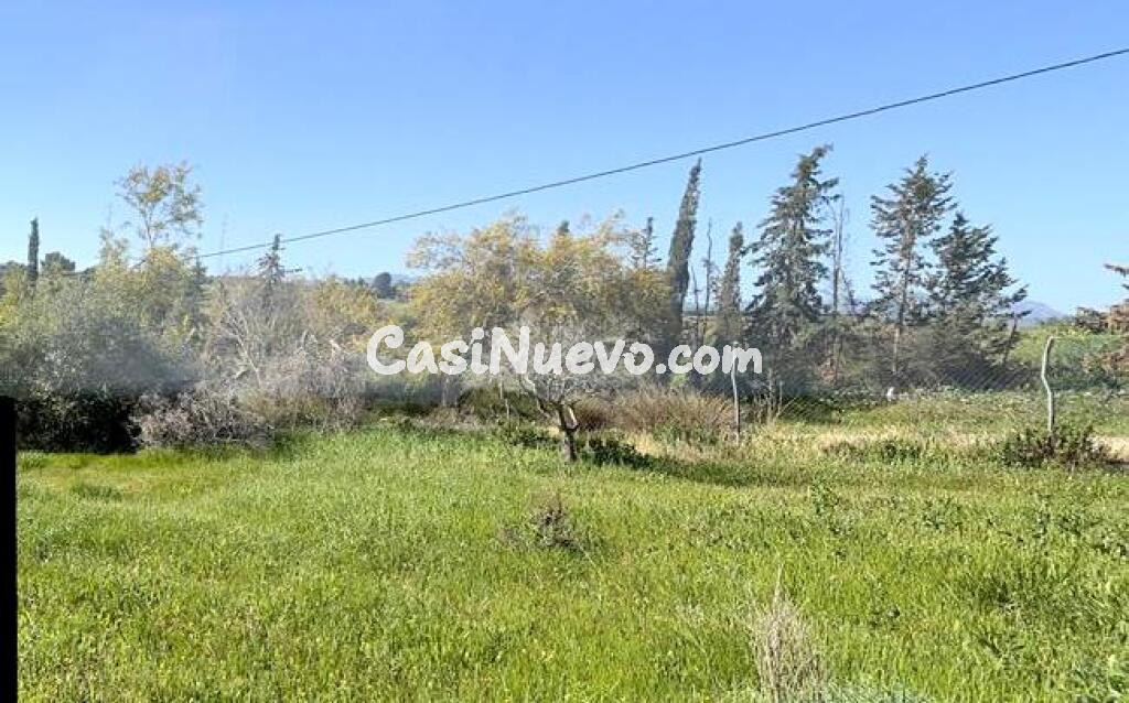 ¡OPORTUNIDAD! FINCA RÚSTICA DE 5043M2 DE REGADIO EN CÁRTAMA