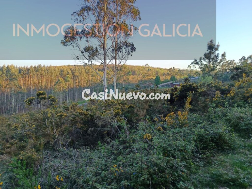Parcela en Venta en Cerceda, De La Coruña