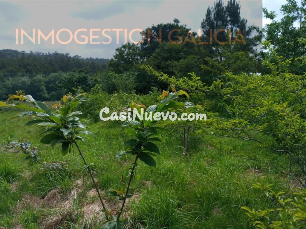 Suelo rústico en Venta en A Laracha La Coruña