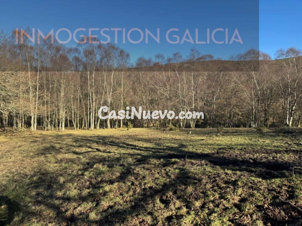 Solar residencial en Venta en Muras Lugo