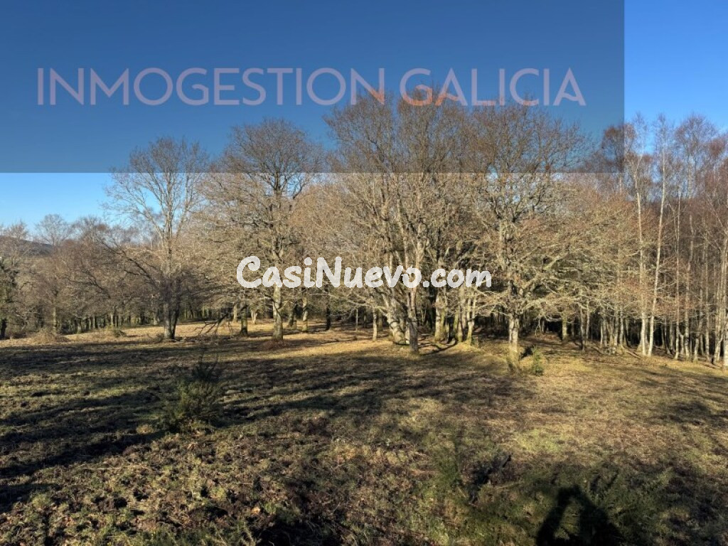 Solar residencial en Venta en Muras Lugo