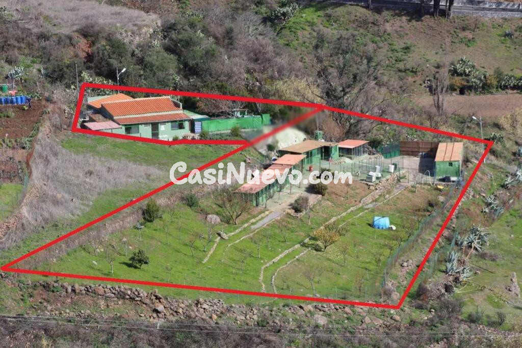 CASA RURAL MÁS FINCA MAS NEGOCIO EN SAN MATEO, GRAN CANARIA, ISLAS CANARIAS, ESPAÑA