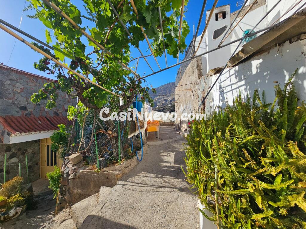 CASA TERRERA CON TERRENO EN TEJEDA - LAS PALMAS DE GRAN CANARIA