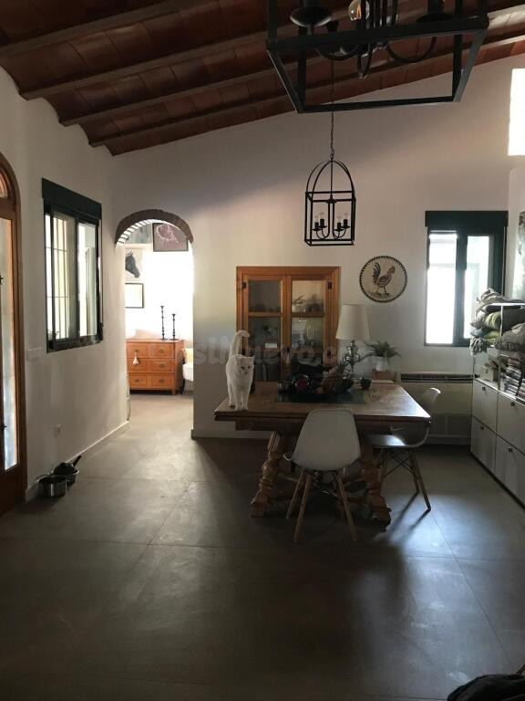 Espléndida finca con vivienda en Ricote - foto 3