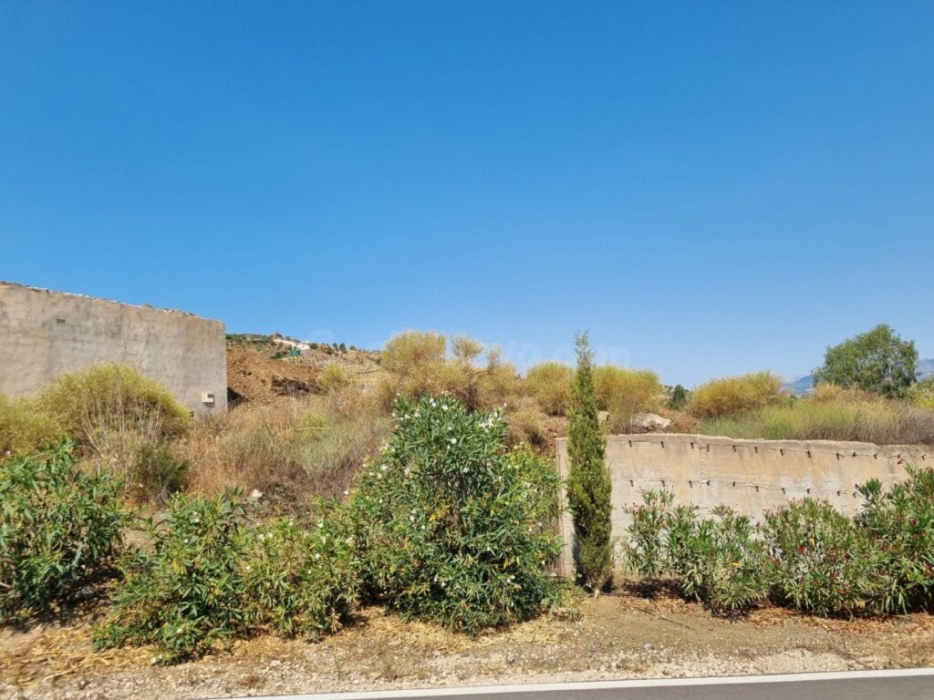 GRAN FINCA EN LA VIÑUELA AL LADO DEL PANTANO - foto 3