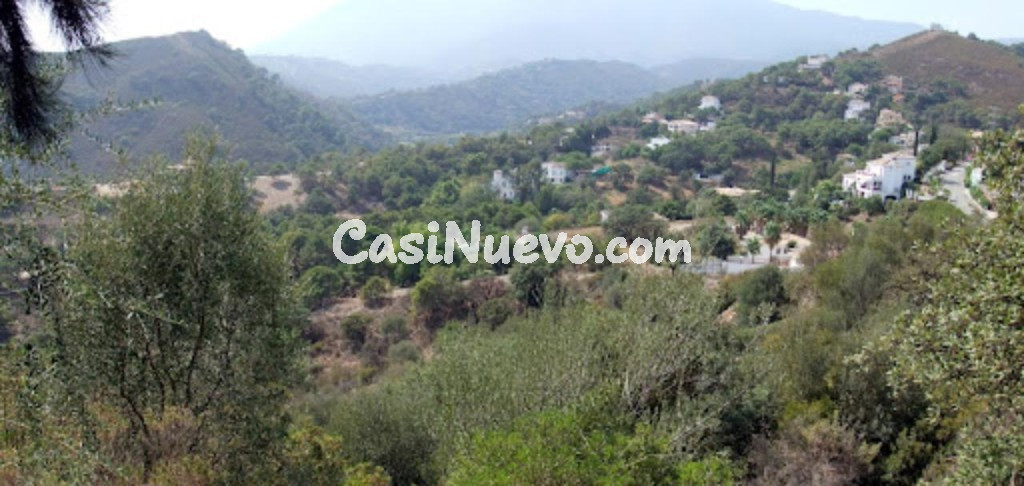 SE VENDE VARIAS PARCELAS SITUADAS EN LA ZONA DE FORREST HILLS