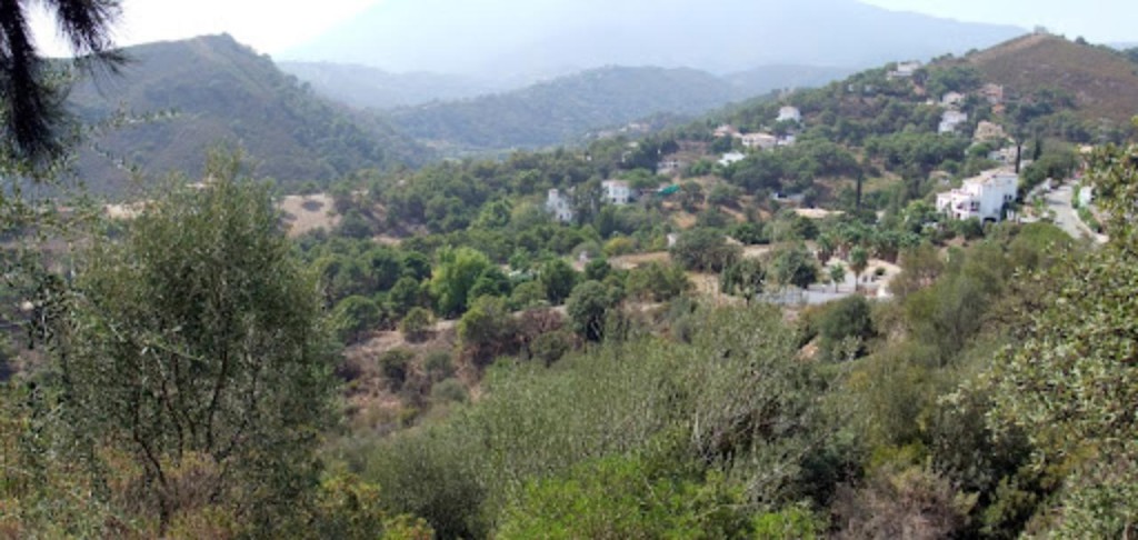 SE VENDE VARIAS PARCELAS SITUADAS EN LA ZONA DE FORREST HILLS