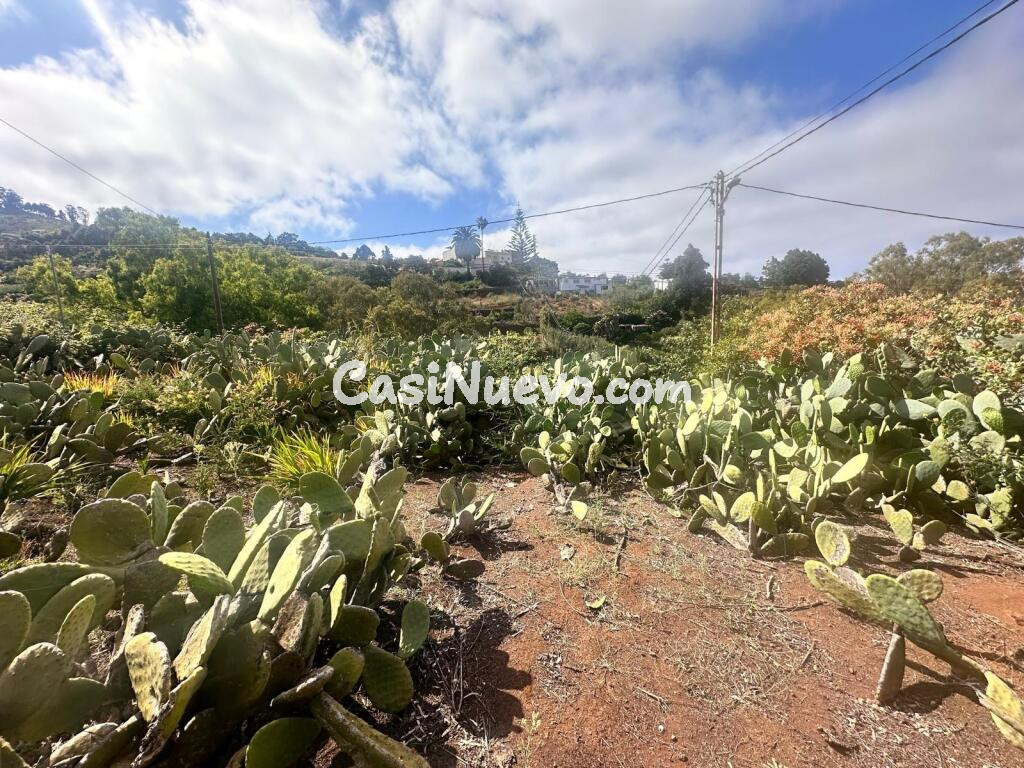 Solar urbano en Teror