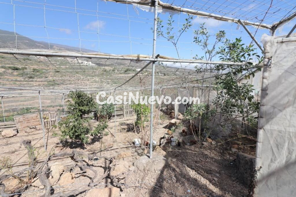 Terreno con construcción a reformar e invernaderos en Arico Viejo