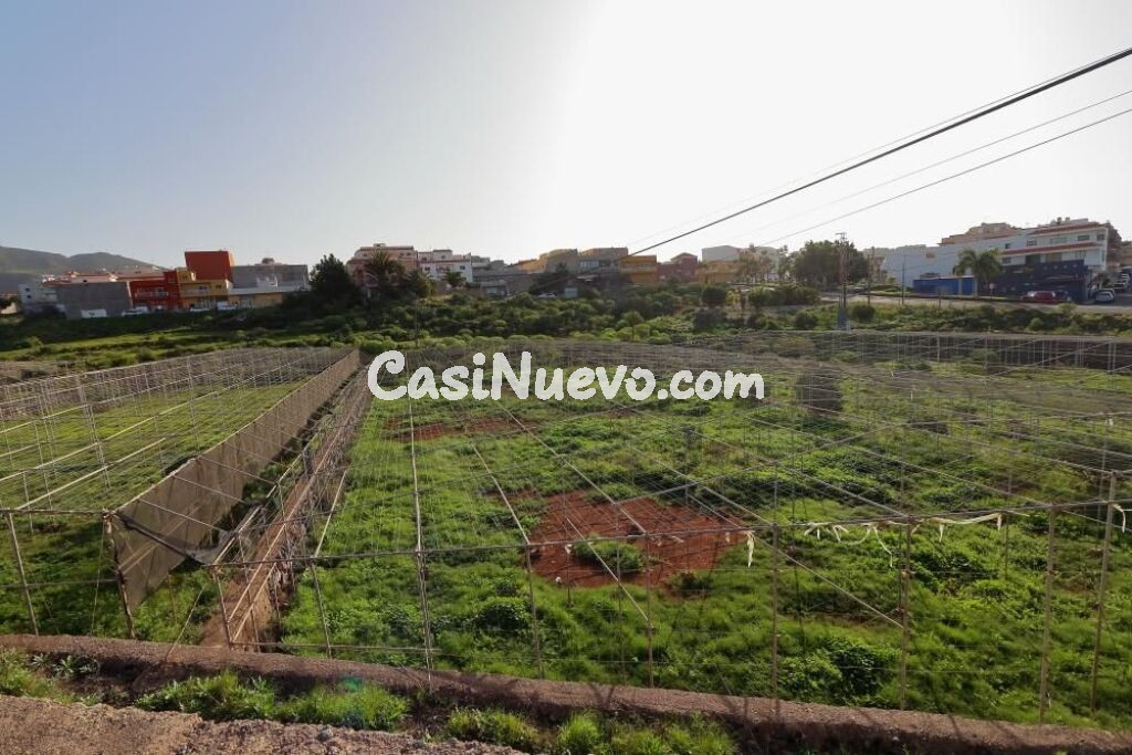 Almacén de 200 m2 con invernaderos y tanque de agua, terreno rústico con excelentes accesos en Arona