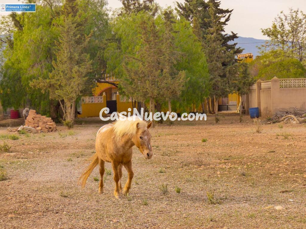 Venta de casa con 9 dormitorios y terreno de 11.000 m2 en el campo en Fuente Alamo