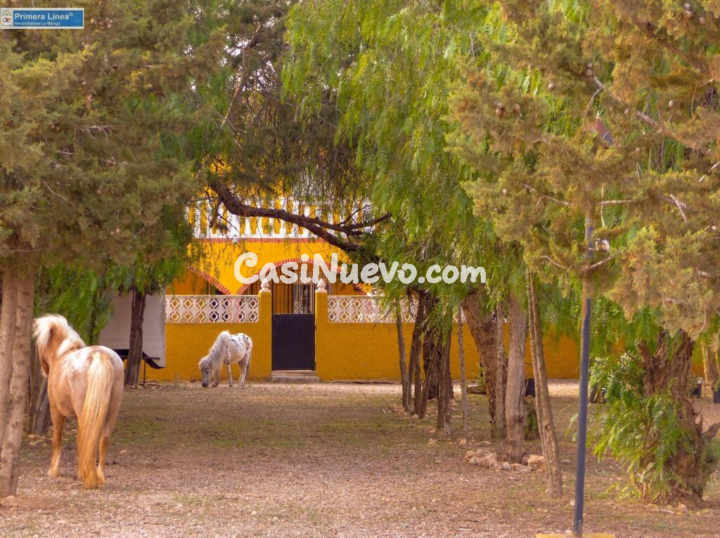 Venta de casa con 9 dormitorios y terreno de 11.000 m2 en el campo en Fuente Alamo