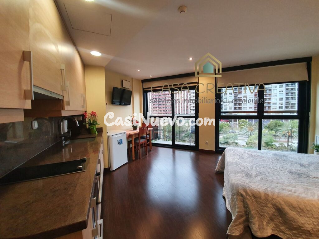 Estudio en Alquiler en Valencia Valencia