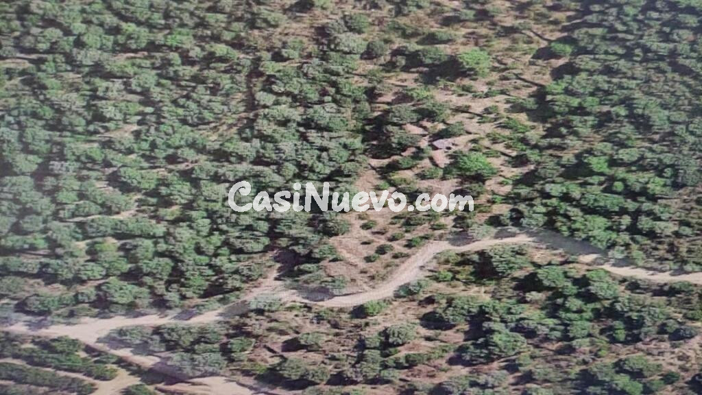 Suelo rústico en Venta en Aleixar, L Tarragona