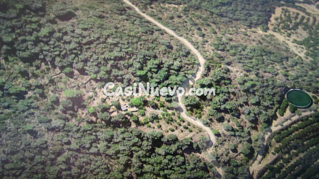 Suelo rústico en Venta en Aleixar, L Tarragona