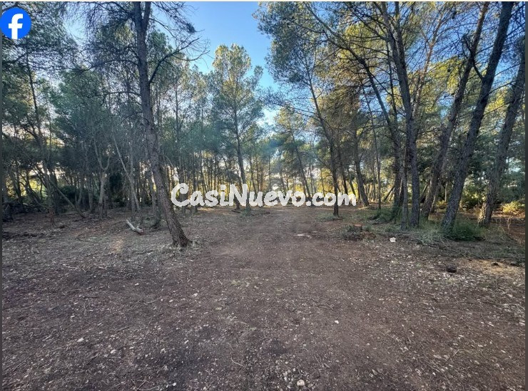 Suelo rústico en Venta en Pla De Santa Maria, El Tarragona