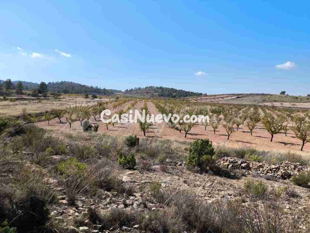 Suelo rústico en Venta en Jumilla Murcia