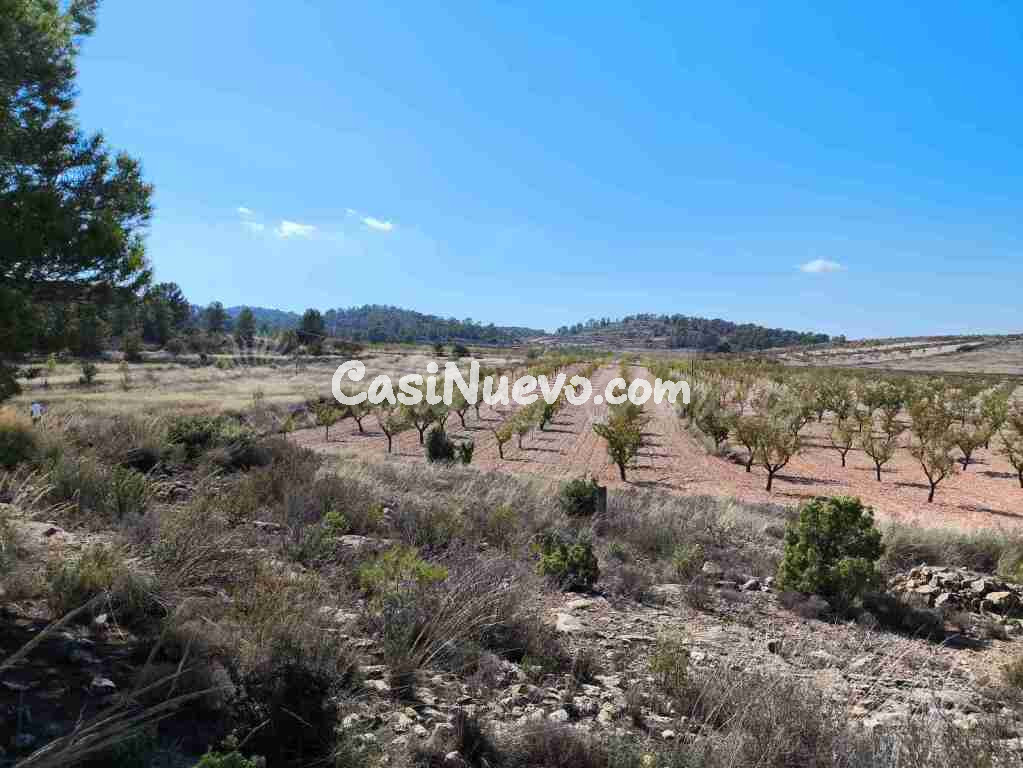 Suelo rústico en Venta en Jumilla Murcia