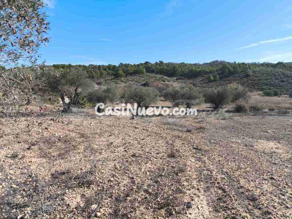 Suelo rústico en Venta en Yecla Murcia