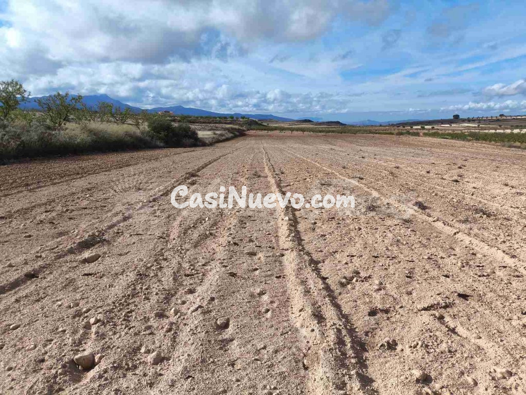 Suelo rústico en Venta en Jumilla Murcia