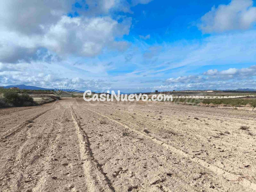 Suelo rústico en Venta en Jumilla Murcia