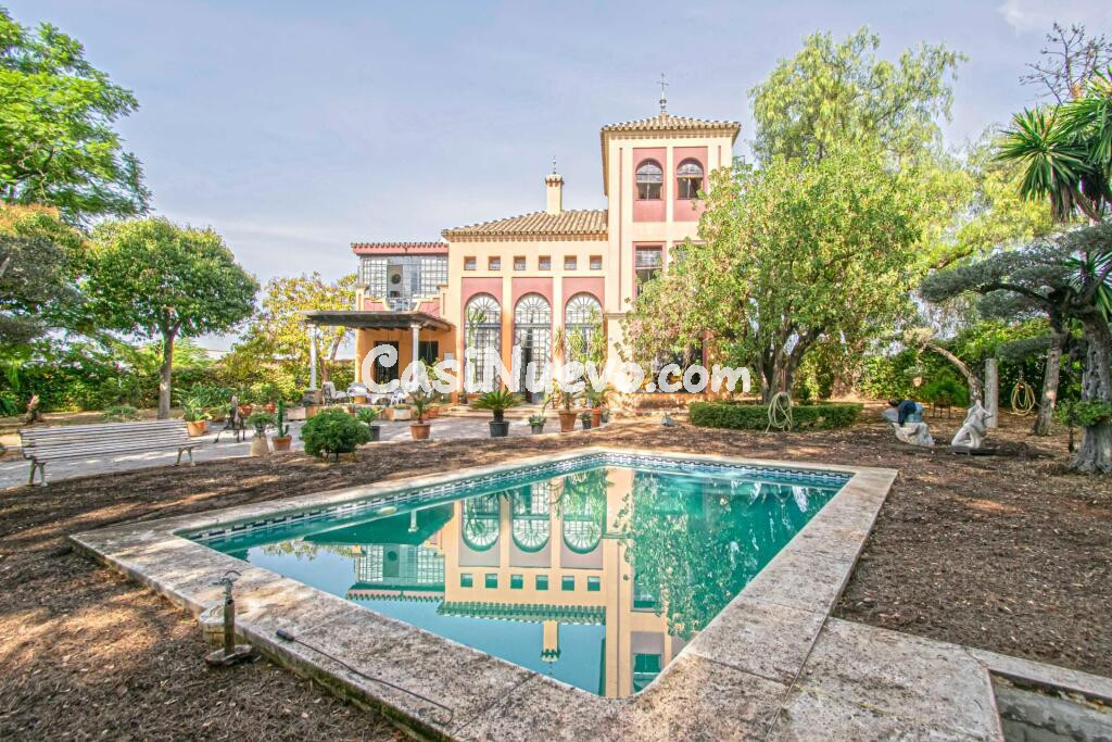 ESPECTACULAR FINCA EN CARRETERA MAIRENA - ALMENSILLA !!!