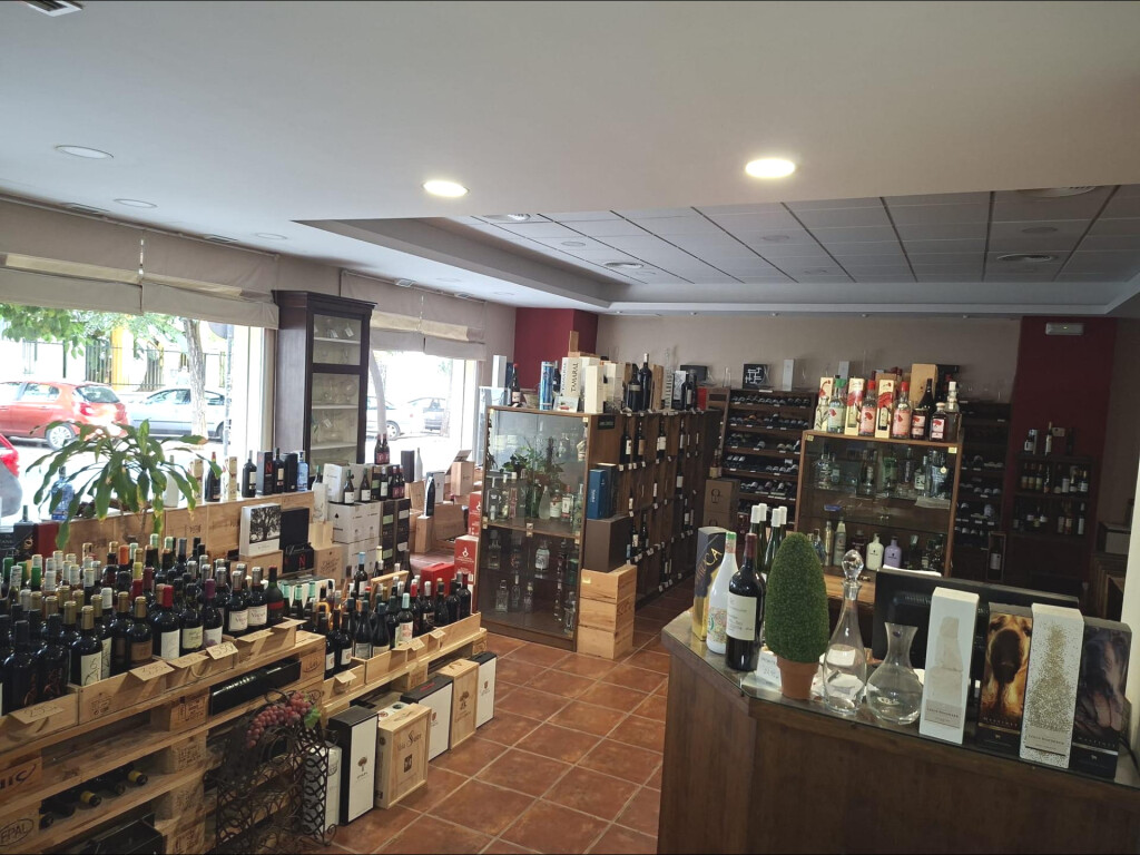 LOCAL COMERCIAL EN CALLE FERNÁNDEZ DE RIBERA - foto 2