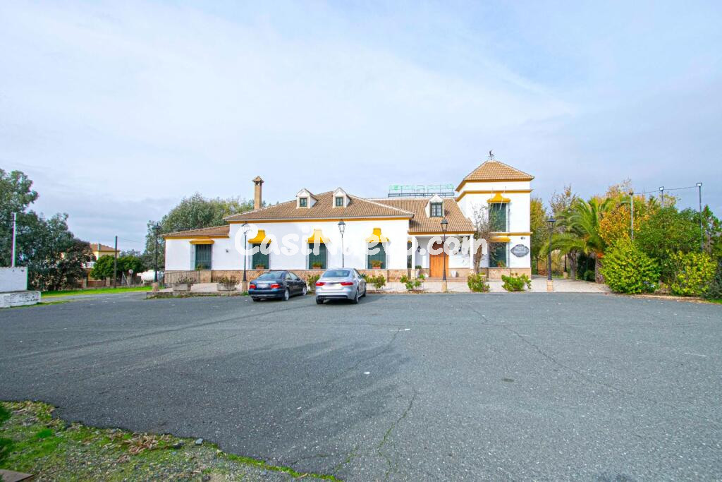 Gran negocio en urbanización La Colina, Castilblanco!!!!