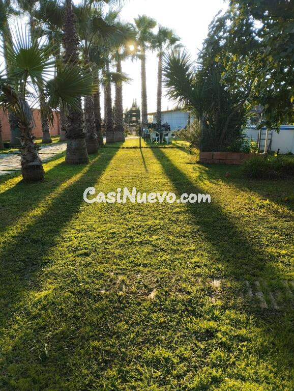 Gran Parcela con casa en urbanización los Pinos de La Algabarra!!!