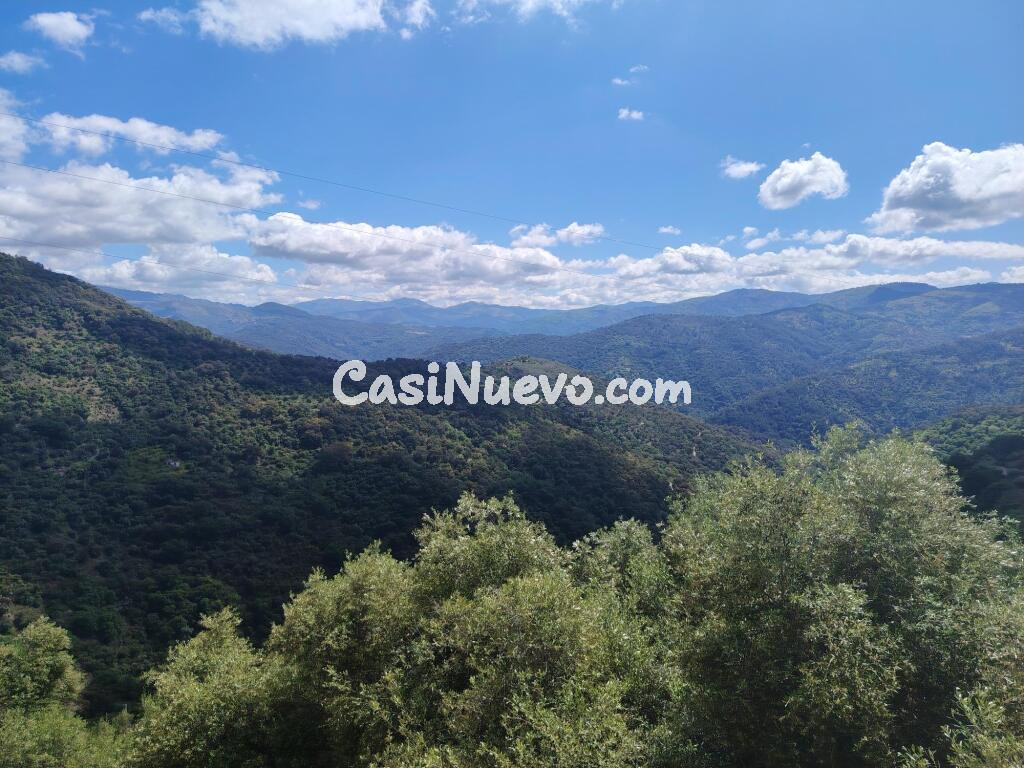 Casa de pueblo en Venta en Benalauria Málaga