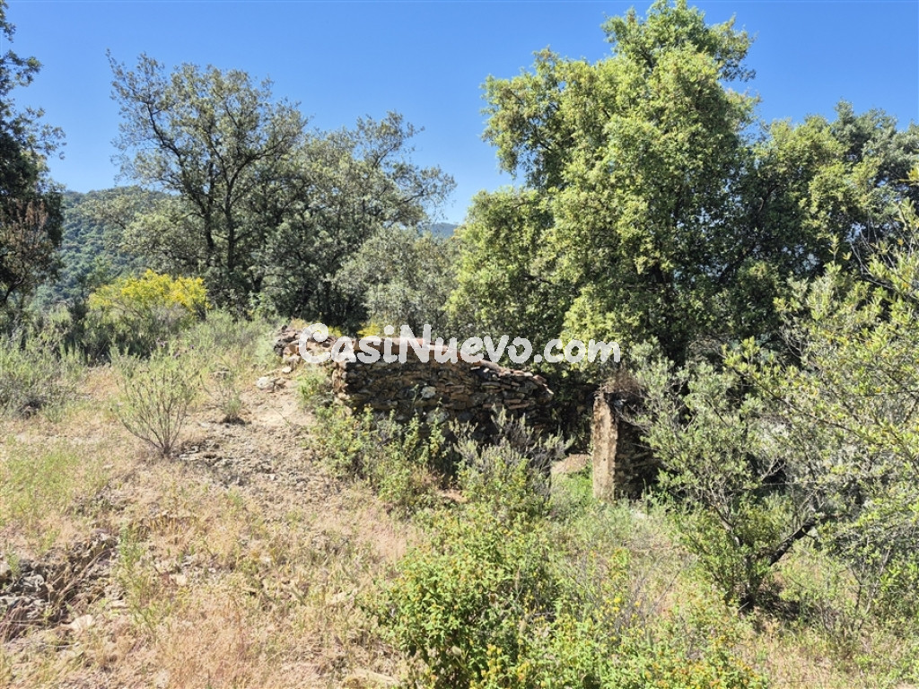 Casa de campo-Masía en Venta en Atajate Málaga